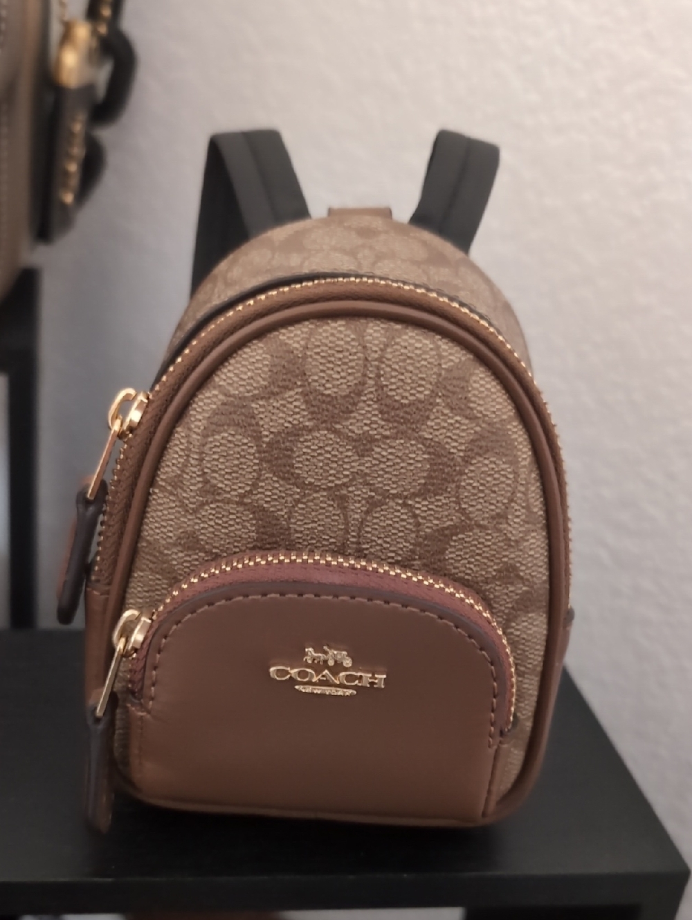Mini Court Backpack Bag Charm In Signature Canvas